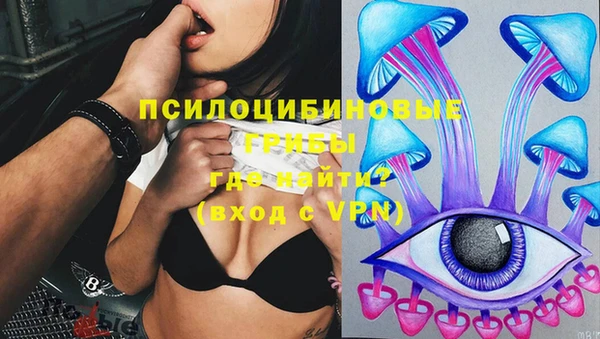 герыч Алексин