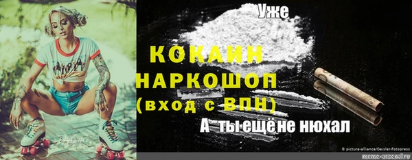 герыч Алексин