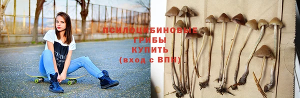прущие грибы Алзамай
