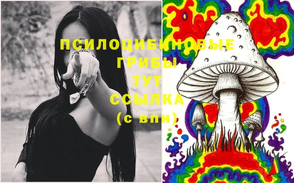 гашиш Абаза