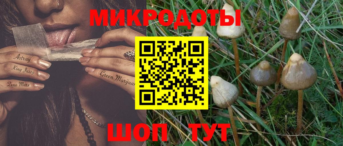 Псилоцибиновые грибы GOLDEN TEACHER  Вход с VPN  Бийск 