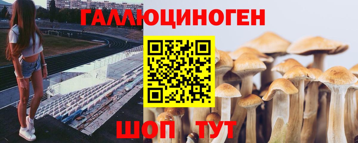 Галлюциногенные грибы ЛСД Бийск