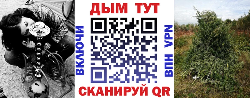 купить наркотик Бийск Конопля AK-47